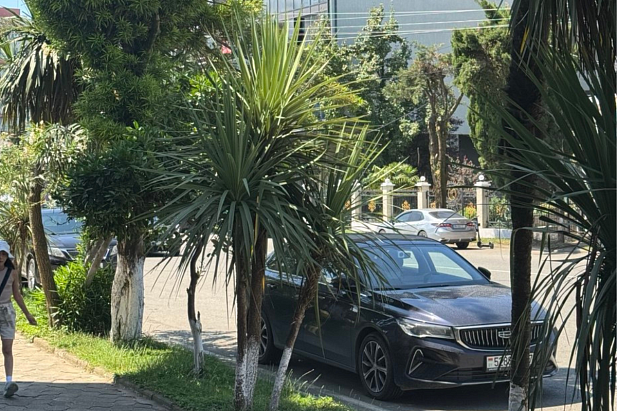 Новости фото